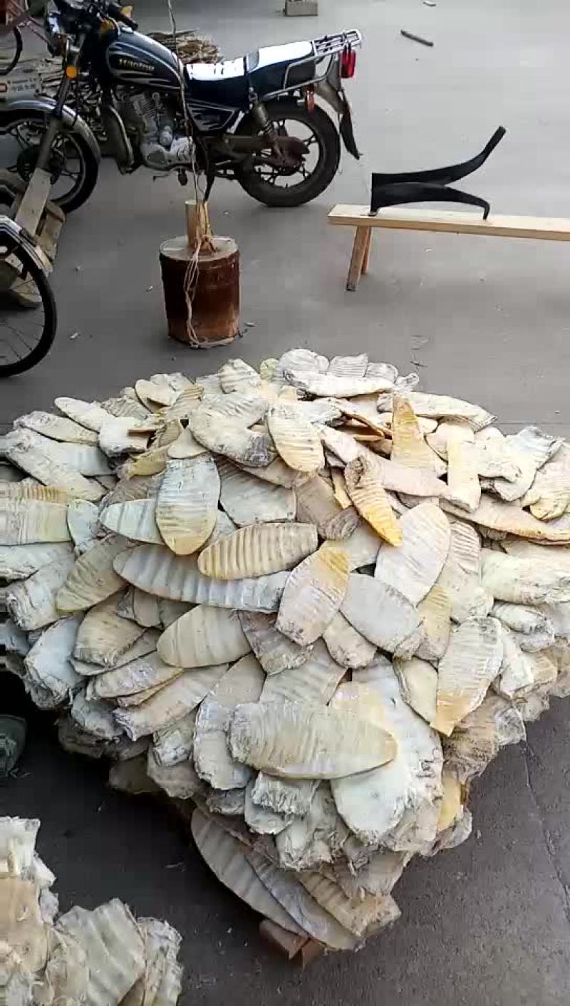笋干淡笋干