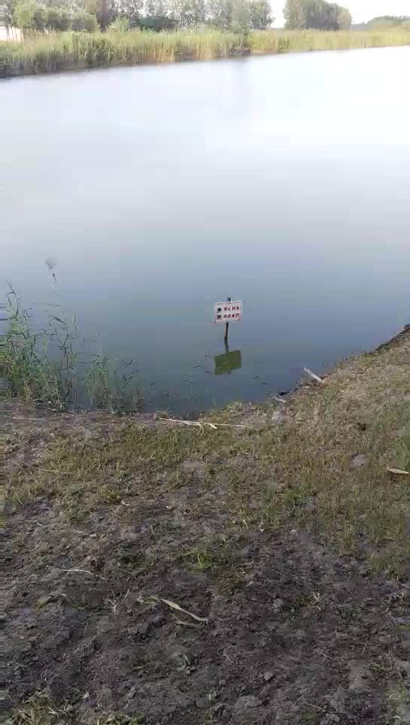 水产养殖用地10~100亩10年以下出租