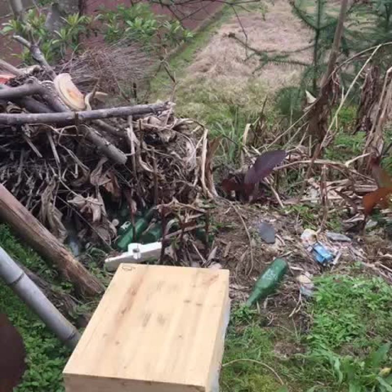 土蜂蜜5斤