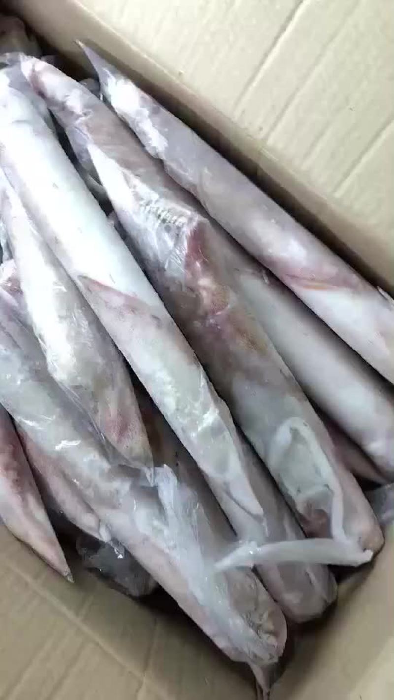 鱿鱼食用冰冻