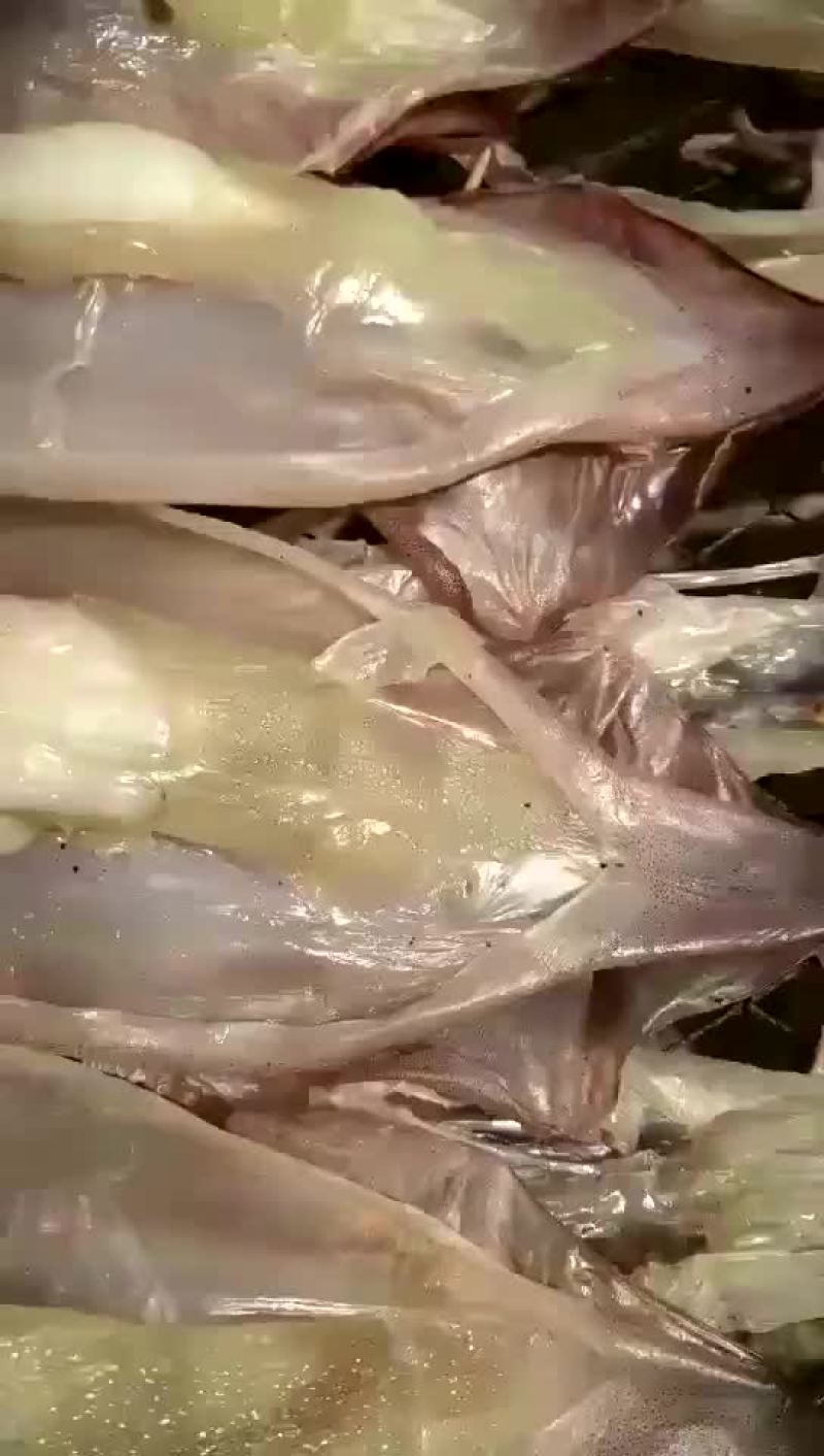 鱿鱼鱿鱼母干货