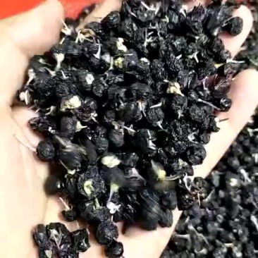 黑枸杞头茬干货