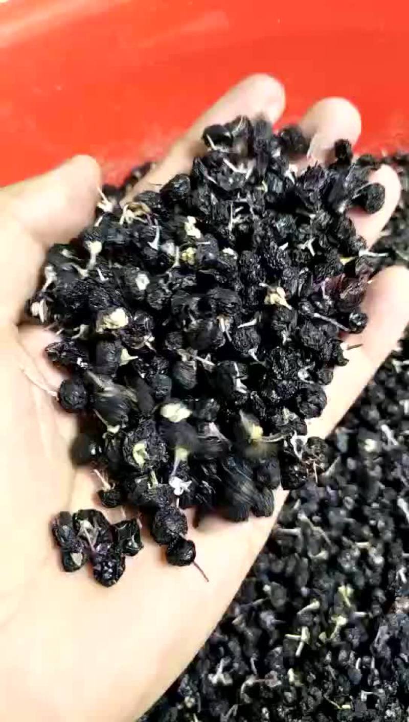 黑枸杞头茬干货
