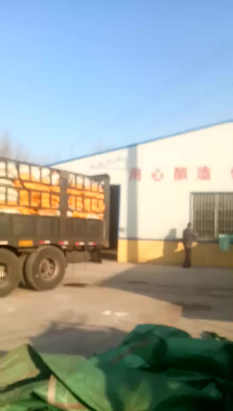 豆饼