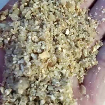 饲料3个月