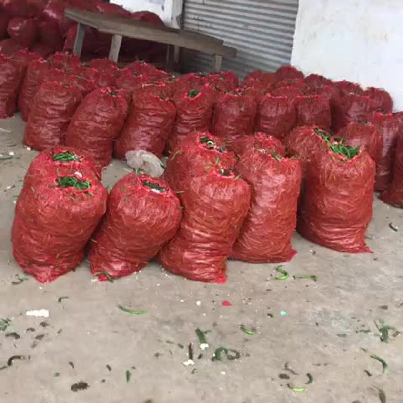 黏玉米10%