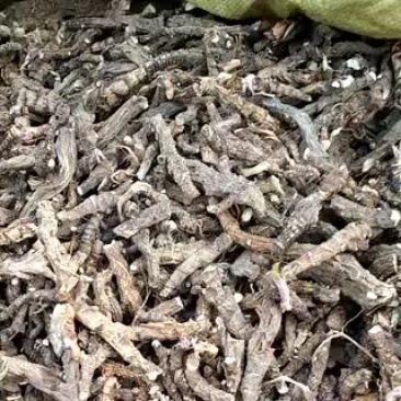 水菖蒲