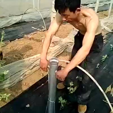 多功能移栽机单垄单行