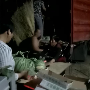 正宗的8424大量上市，有意者与我联系，