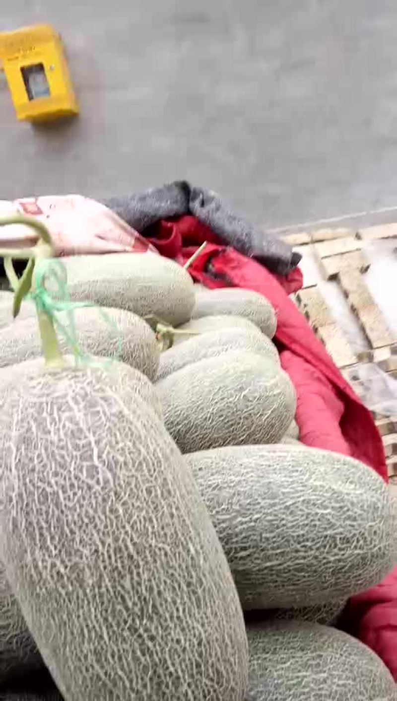 西周密