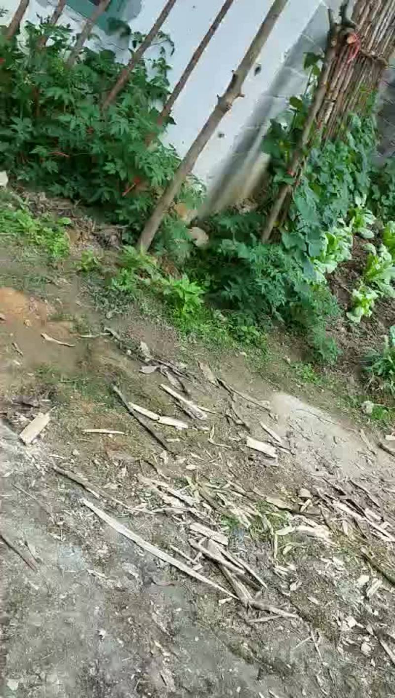 畜牧养殖用地转让