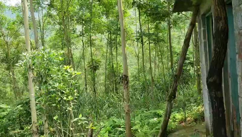 畜牧养殖用地转让