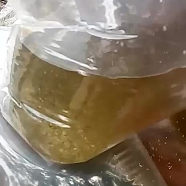 草鱼水花