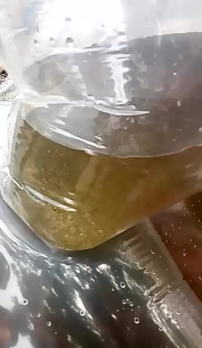 草鱼水花