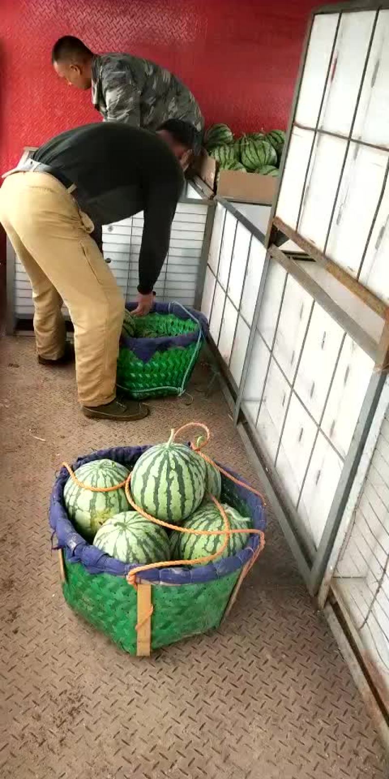 8424