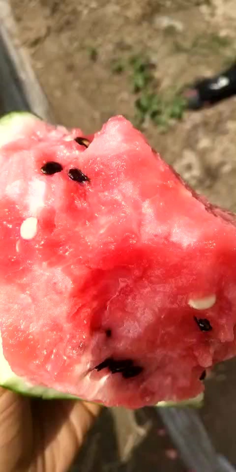 8424