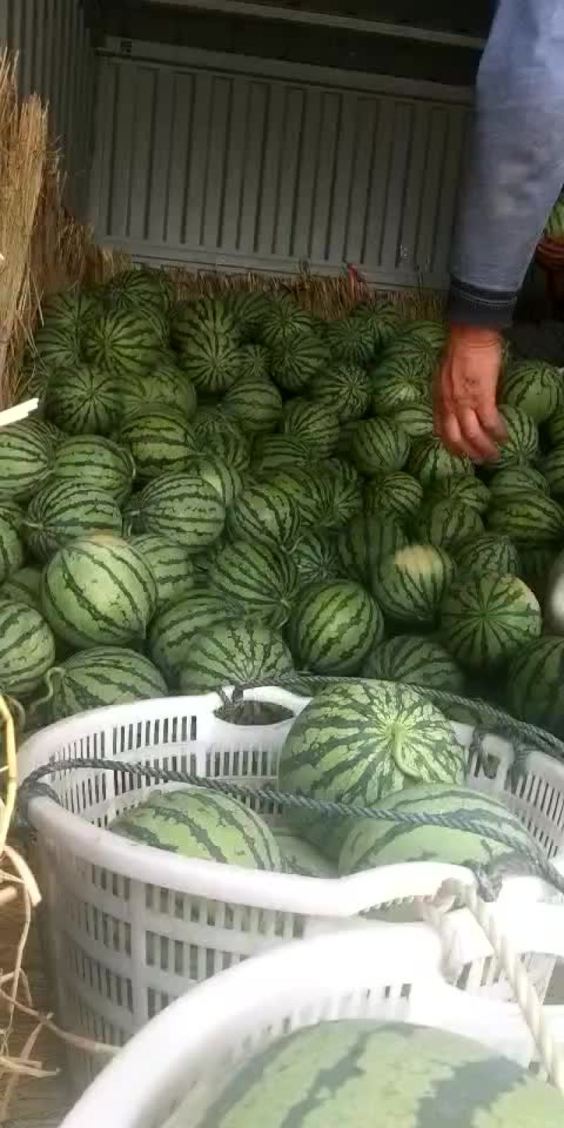 8424