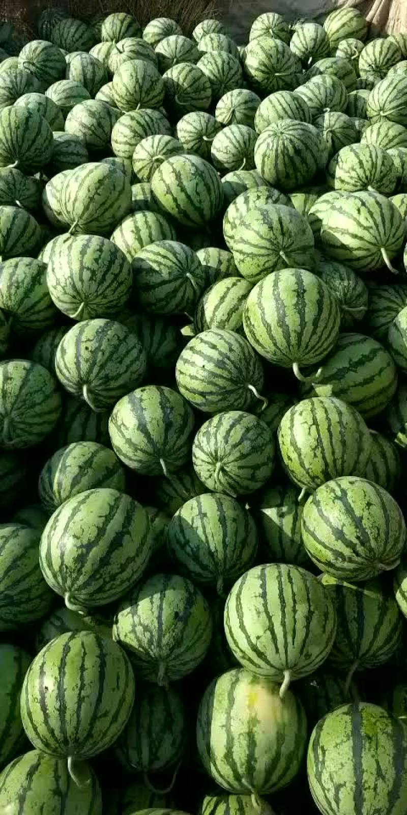 8424