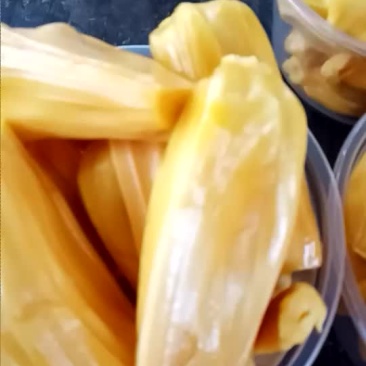 菠萝蜜