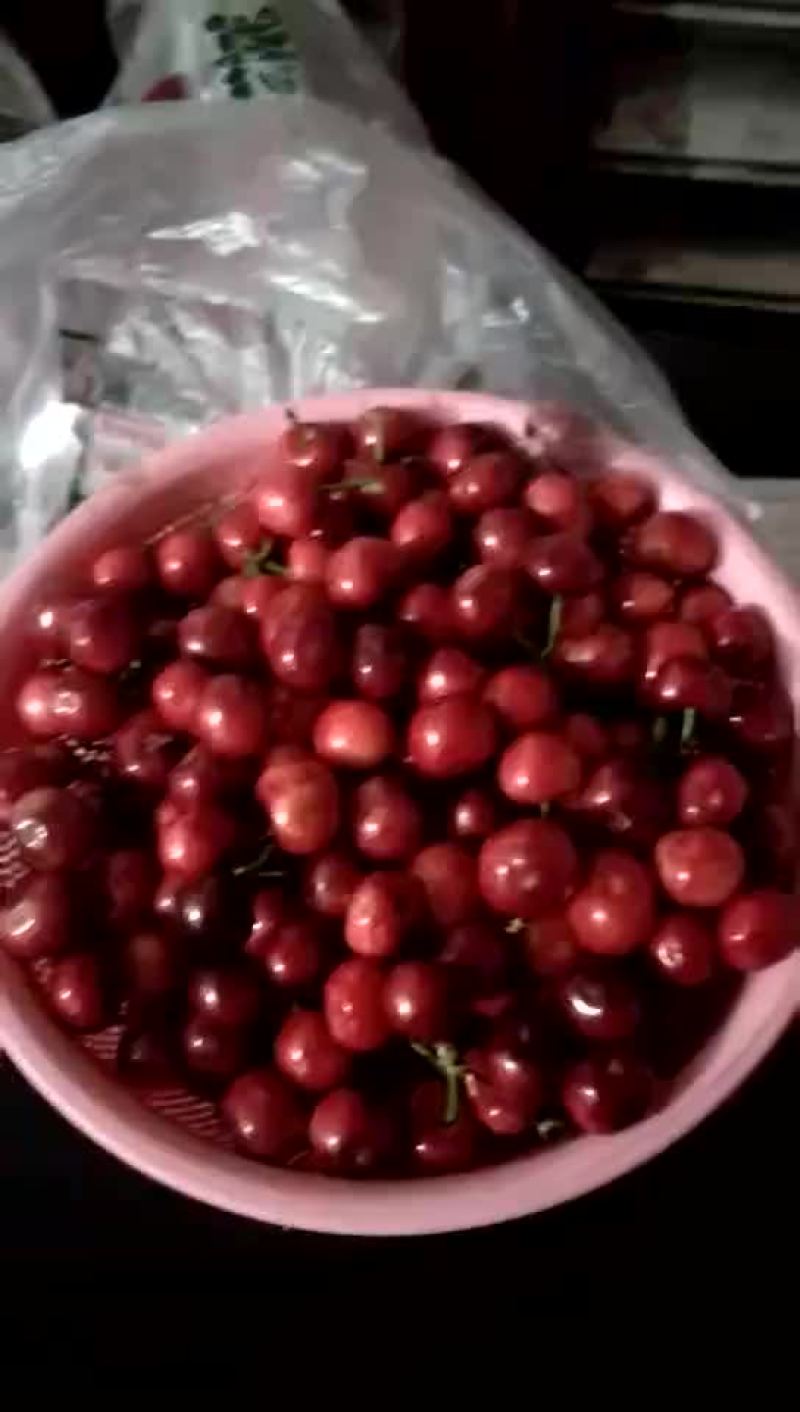 汉源大樱桃