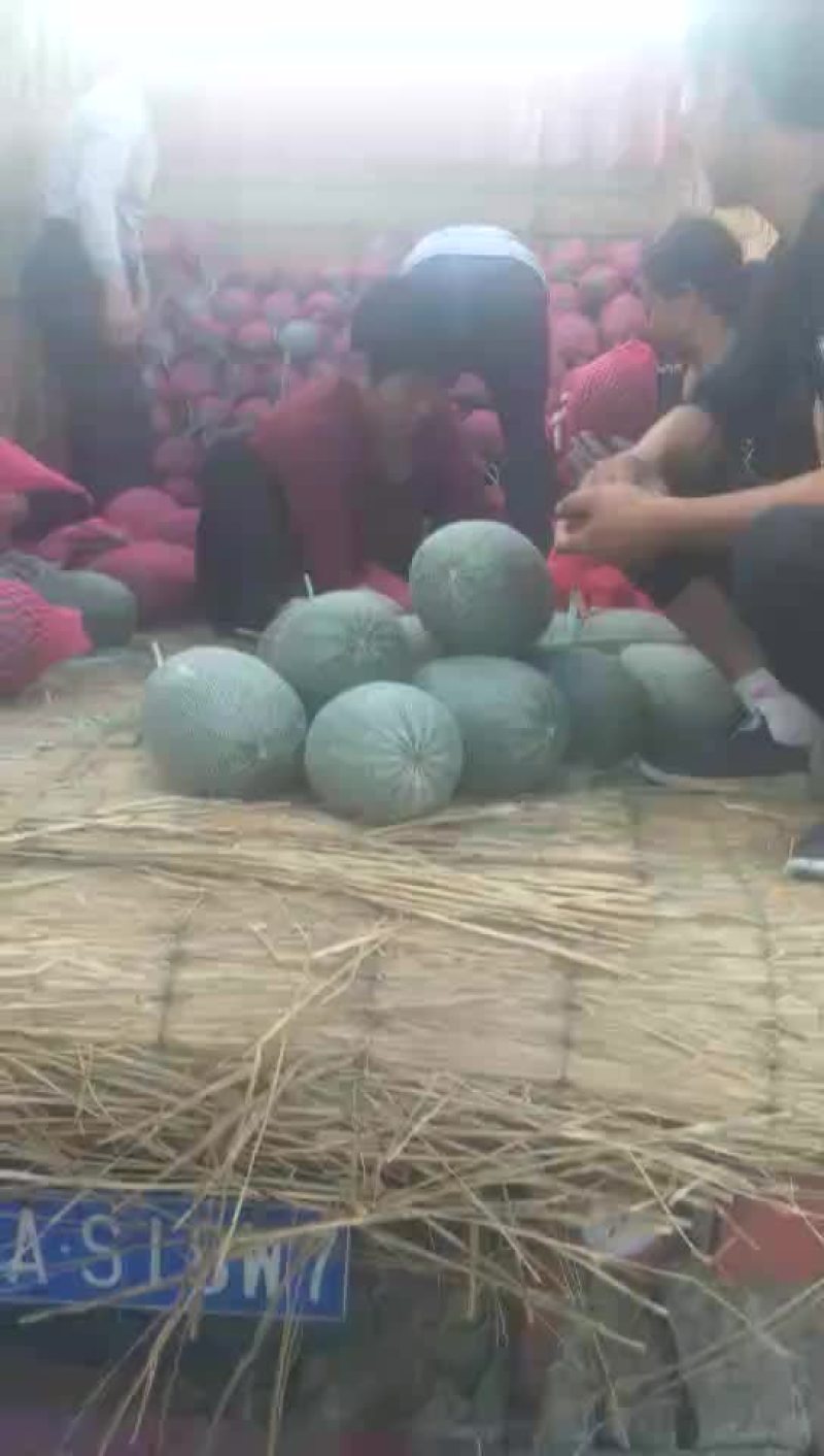 西周密25精品货