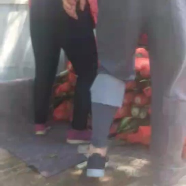 羊角密