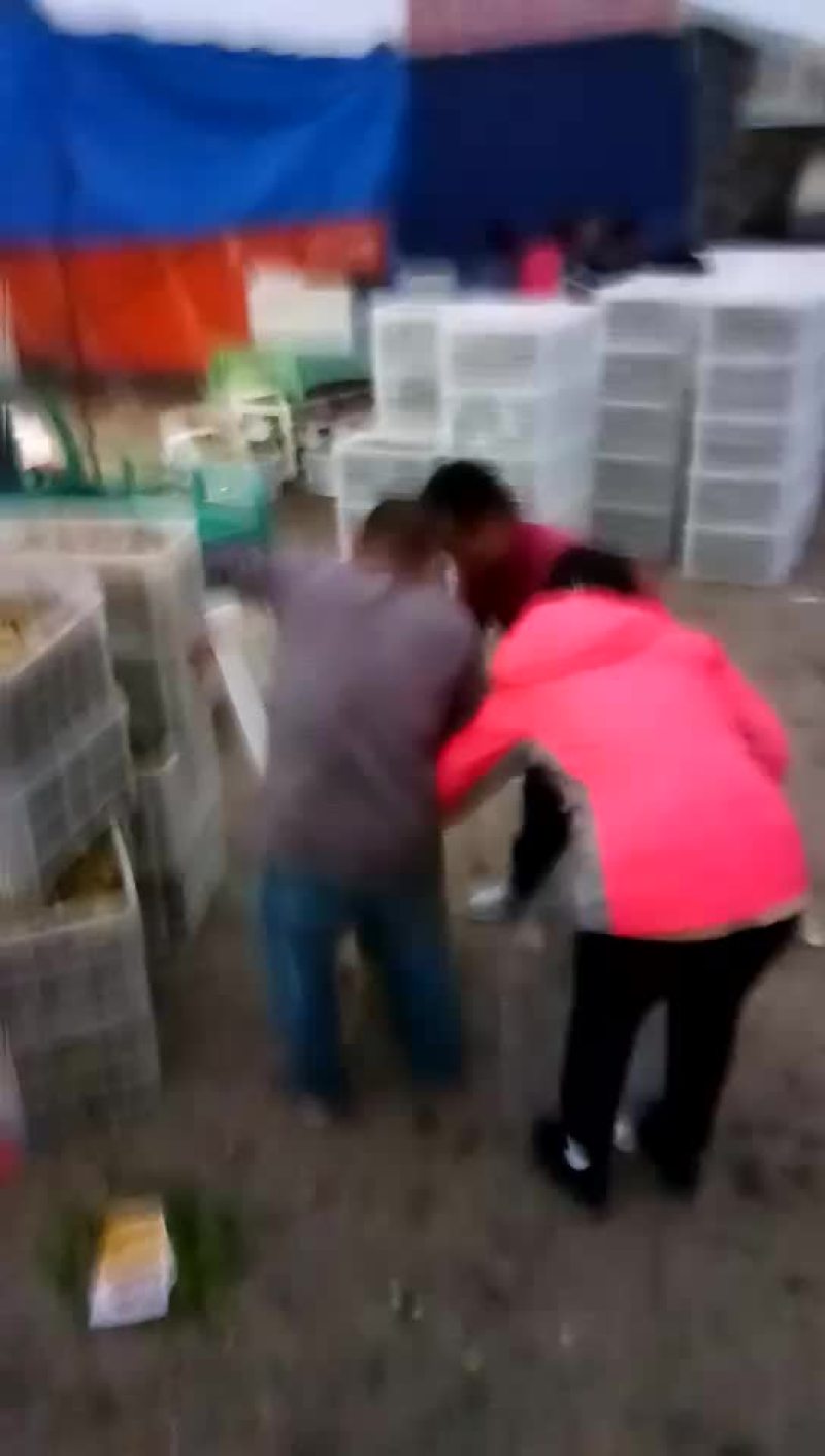 冬枣，鲜枣，对接电商，产地实力代办拥有大型场地