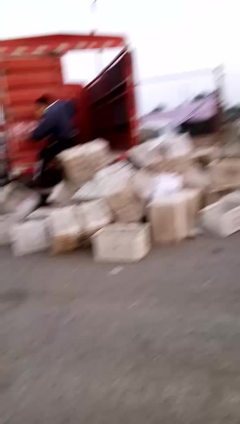 冬枣，鲜枣，对接电商，产地实力代办拥有大型场地