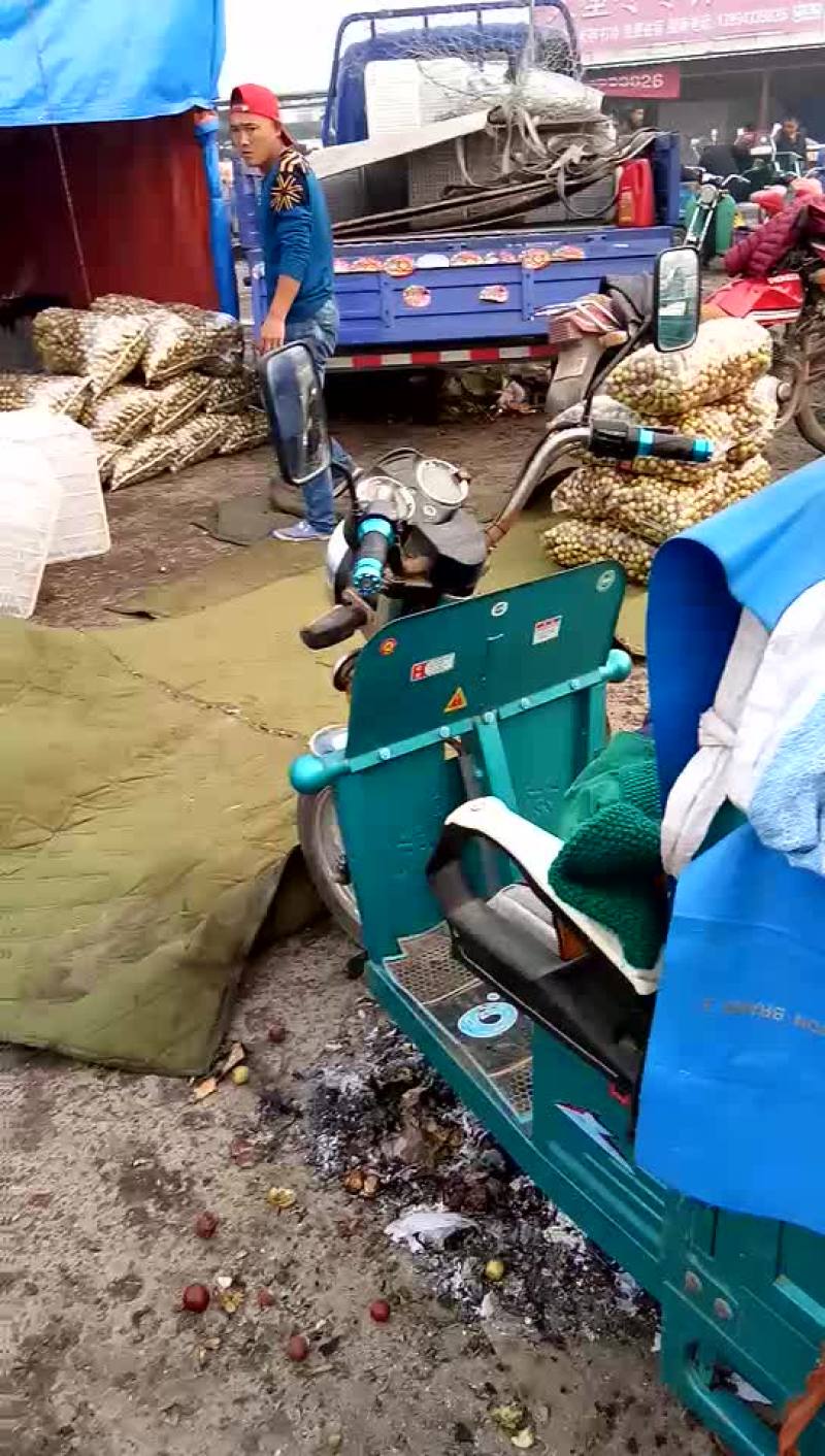 冬枣，鲜枣，对接电商，产地实力代办拥有大型场地