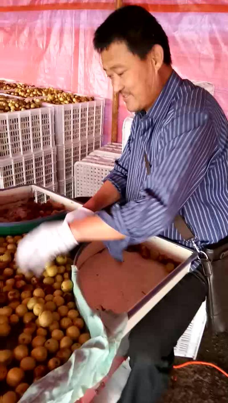 冬枣，鲜枣，对接电商，产地实力代办拥有大型场地