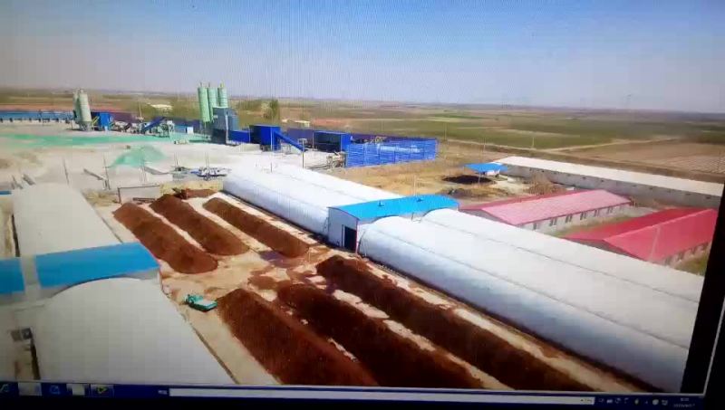 双孢菇鲜品大量有货，欢迎大家下单购买，非诚勿扰