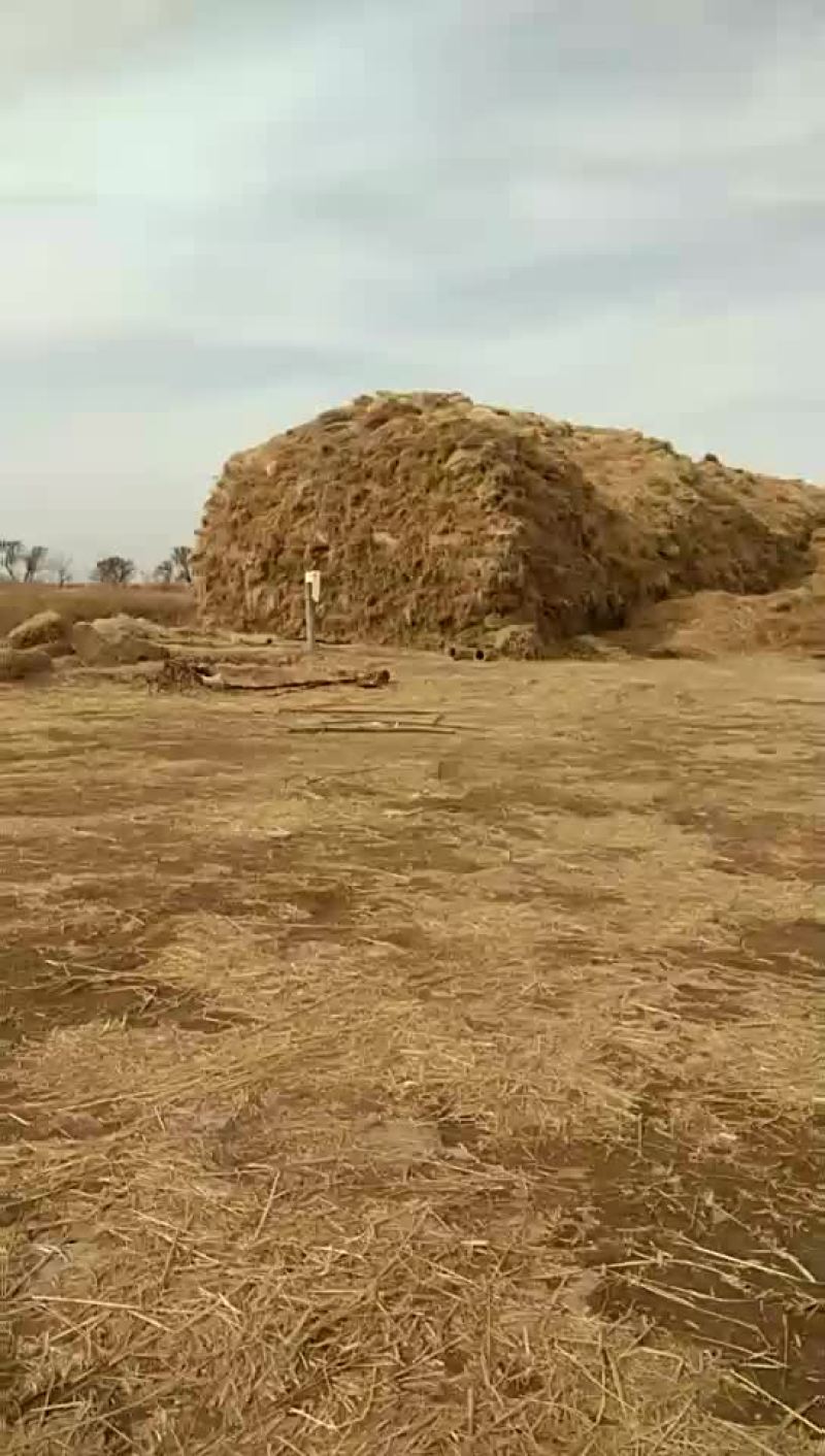 稻草80~100公分