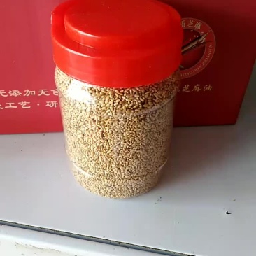 熟芝麻
