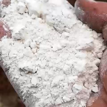 红薯淀粉