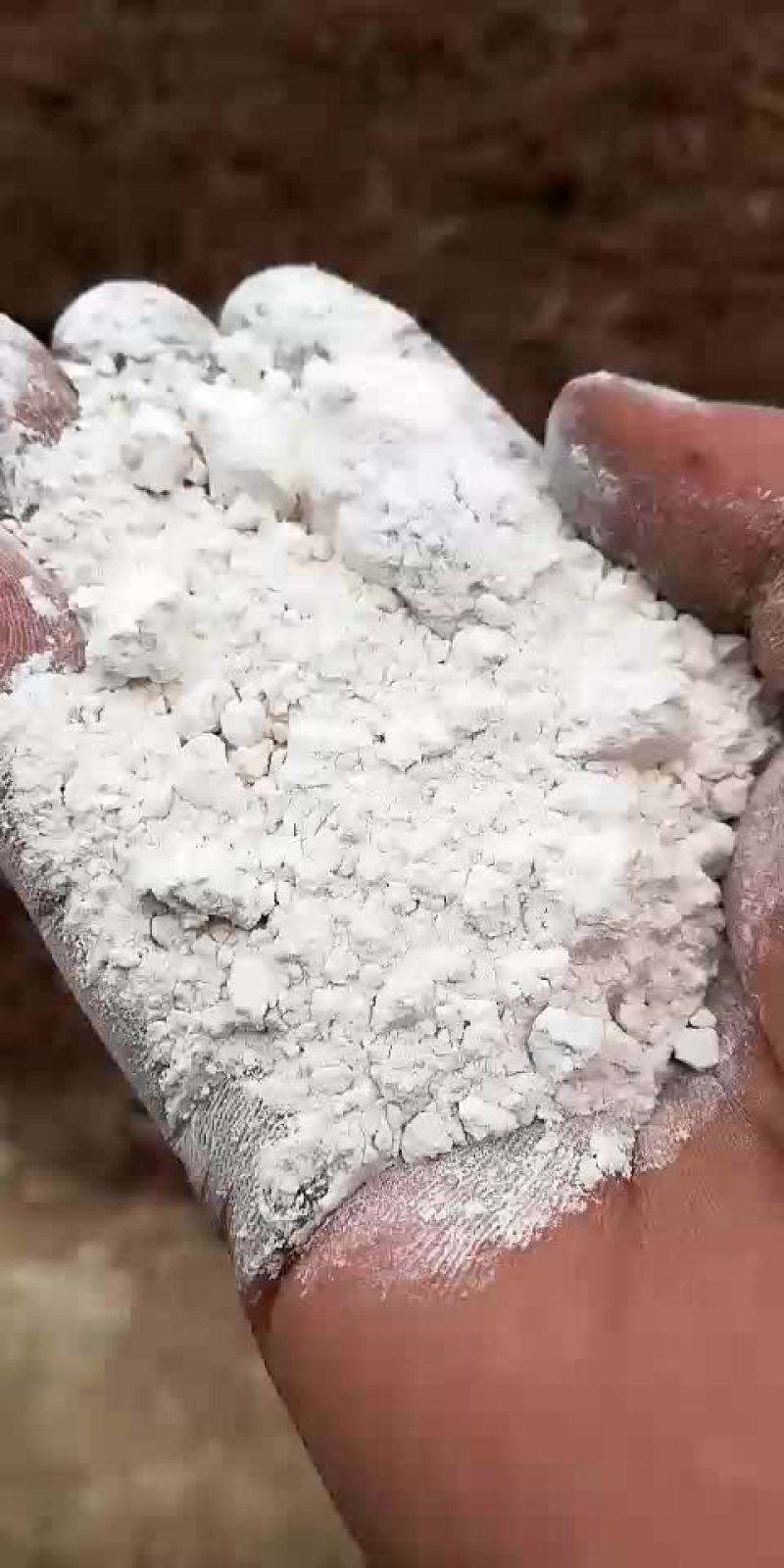红薯淀粉