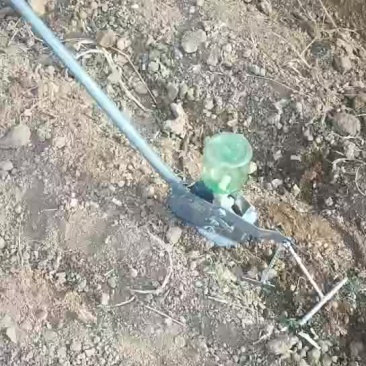 蔬菜播种机