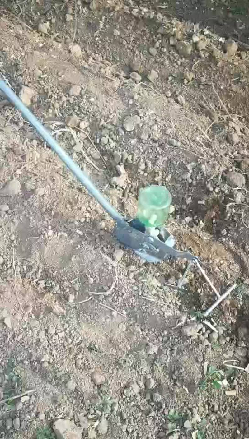 蔬菜播种机