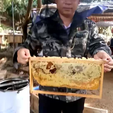 土蜂蜜1斤