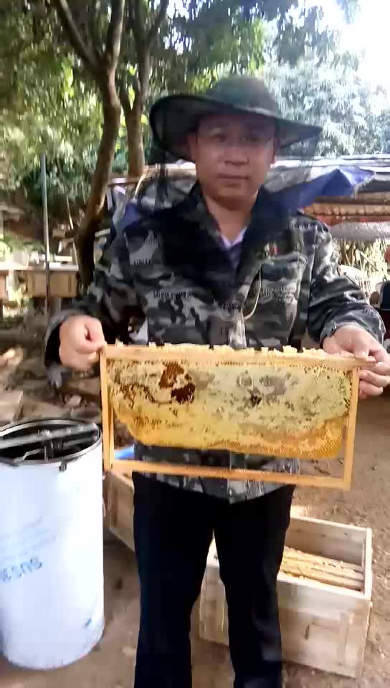 土蜂蜜1斤