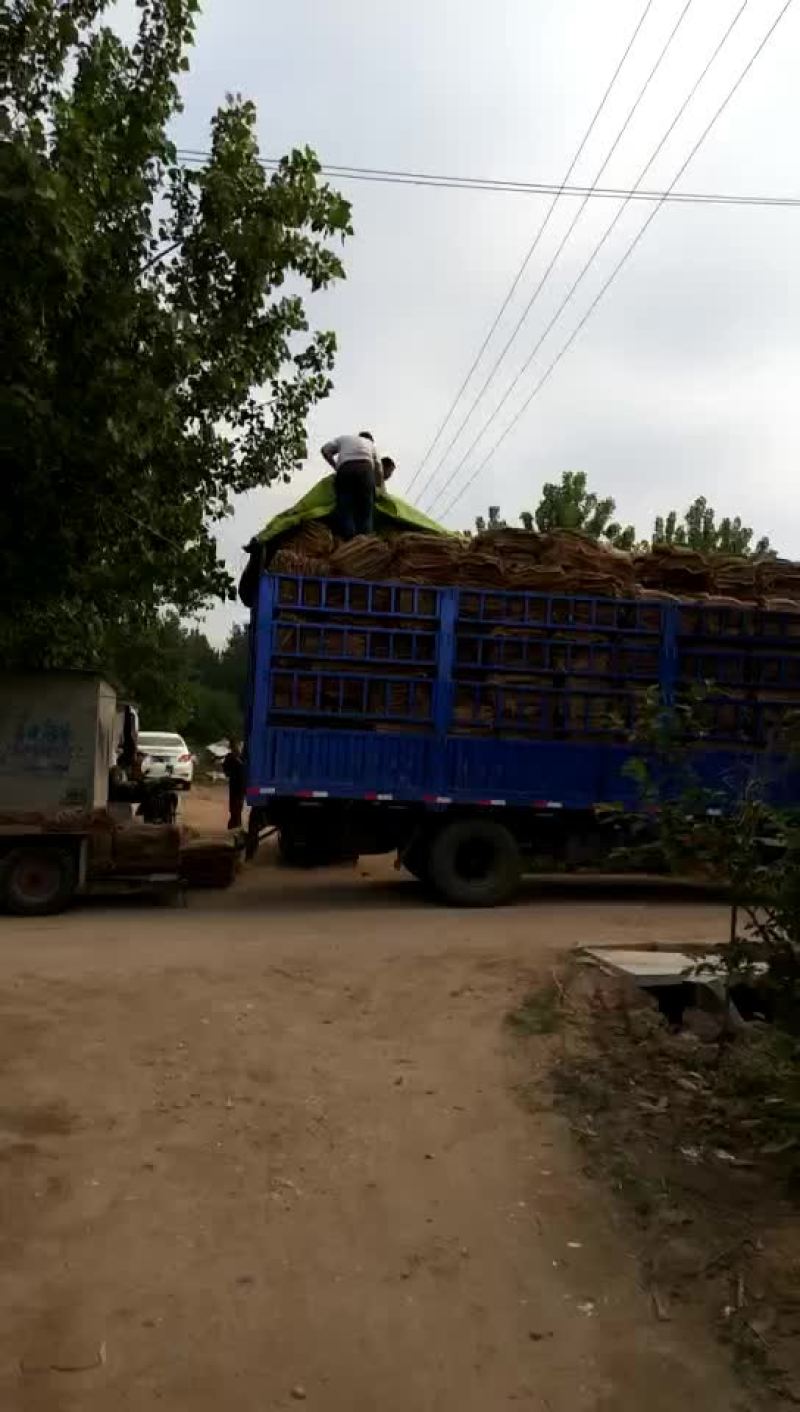 麻袋各种规格都可以订做