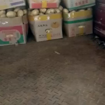 土豆