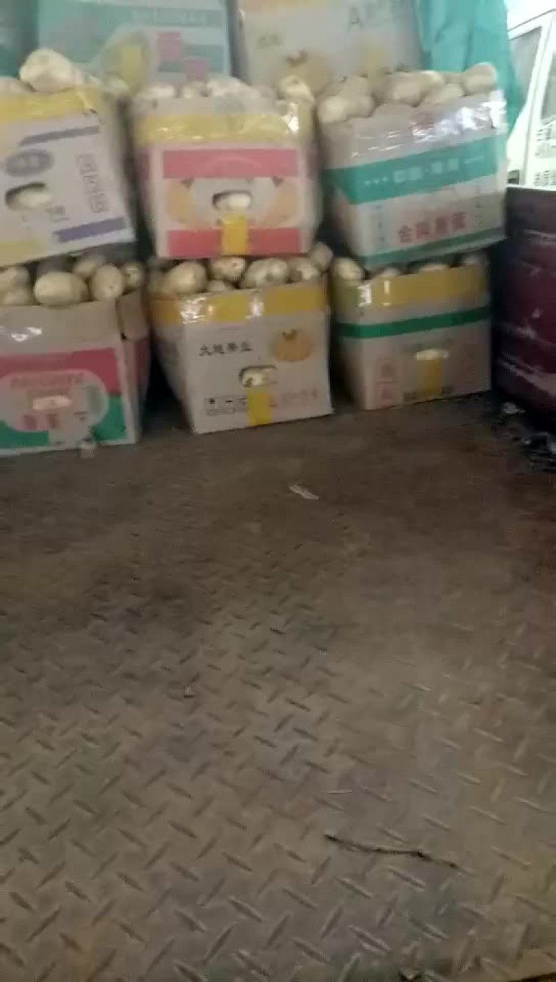 土豆