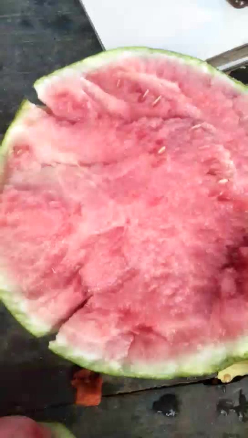 8424