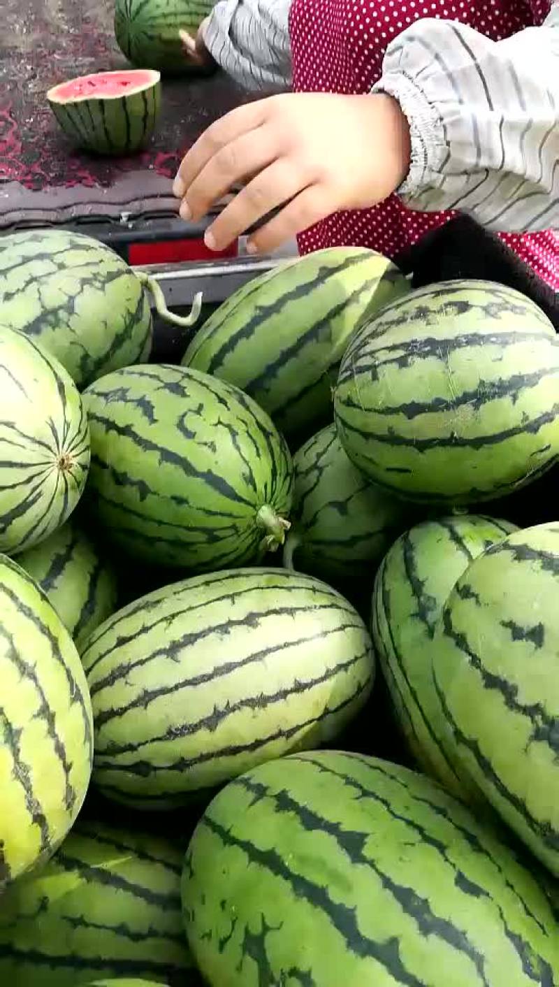 山东潍坊二k西瓜大量上市