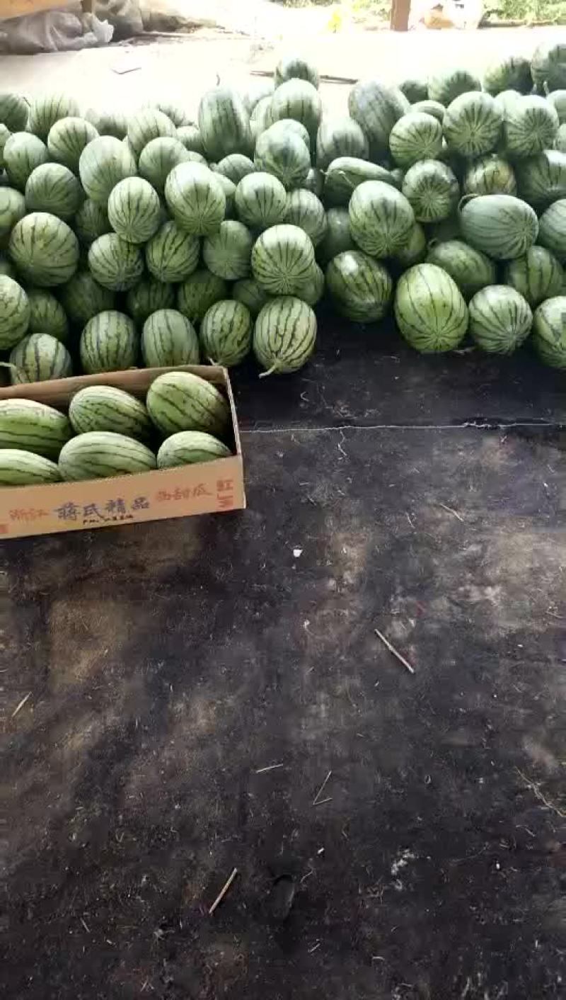 山东潍坊二k西瓜大量上市
