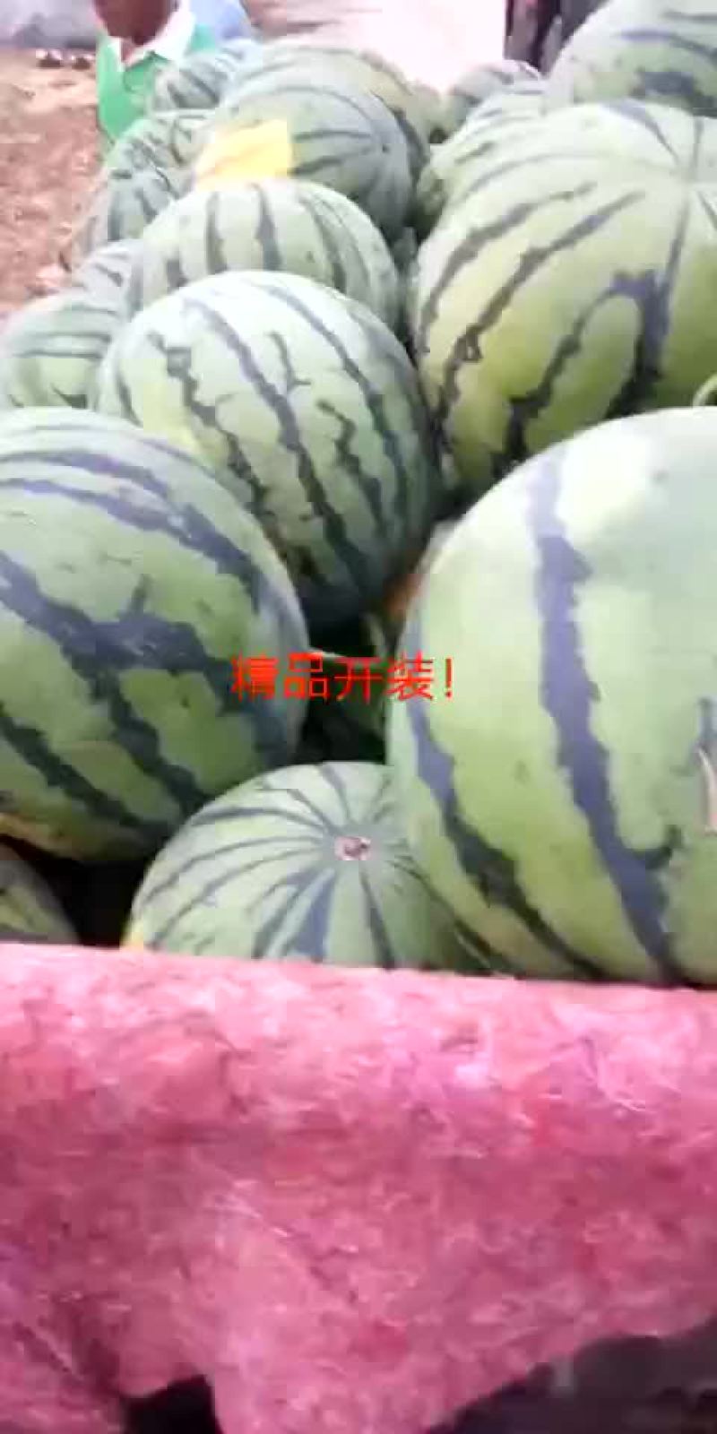 山东潍坊二k西瓜大量上市