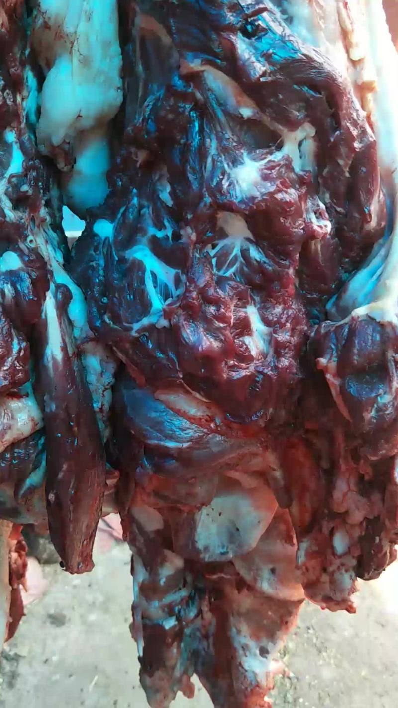 鲜驴肉