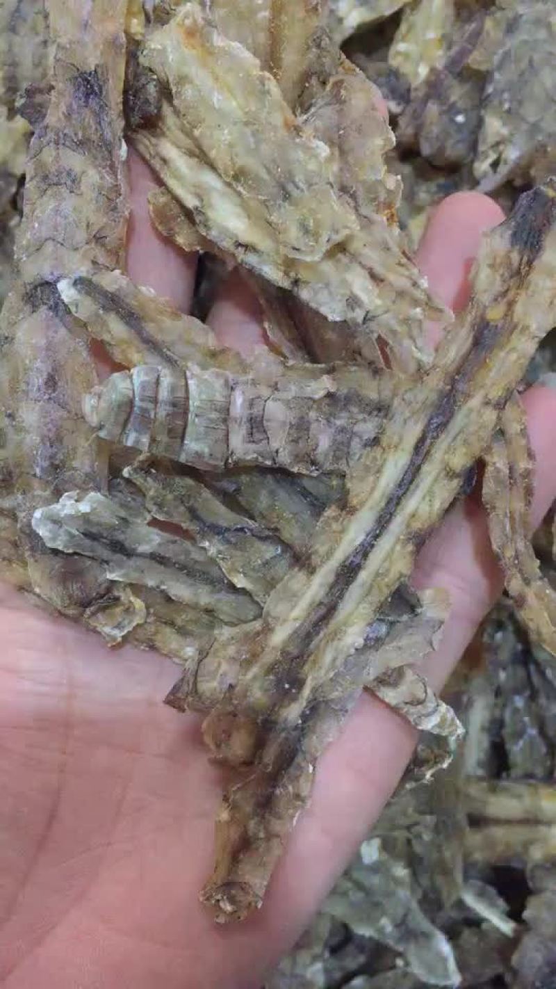 皮皮虾干