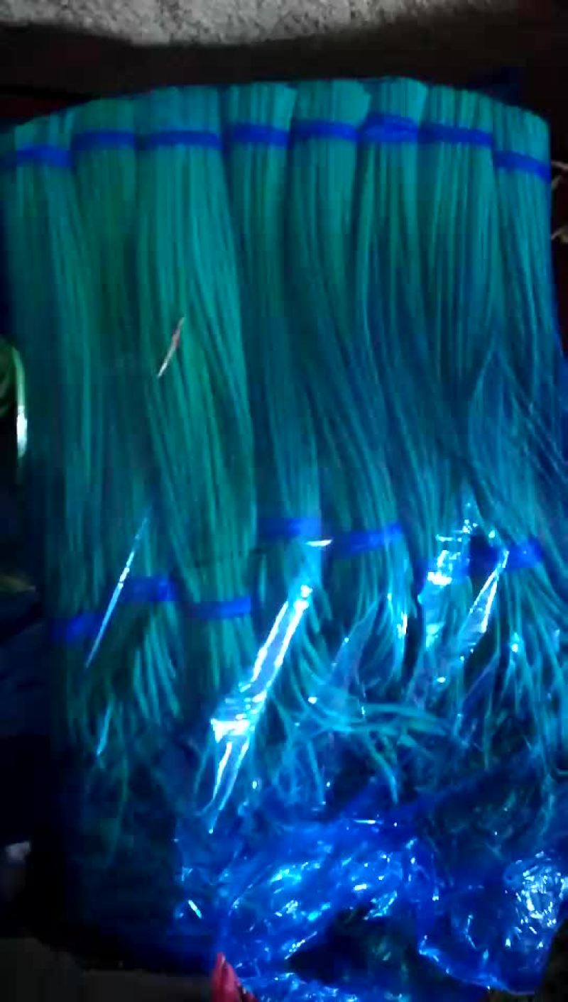 精品蒜苔现货，低价出售，价格美丽