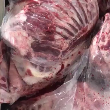 羊光排